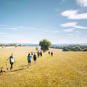 Traumhafte Weitsichten auf dem Waldretter-Trail