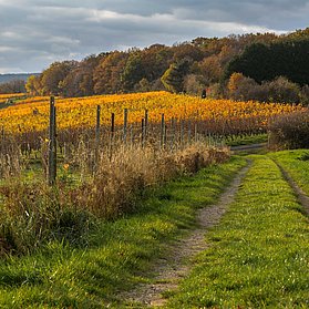 Natur & Stadt