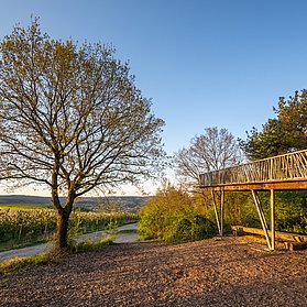 Aussichtsplattform "Fliegendes Dach"