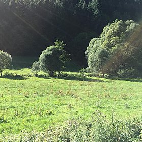 Ahrbrück Denntal