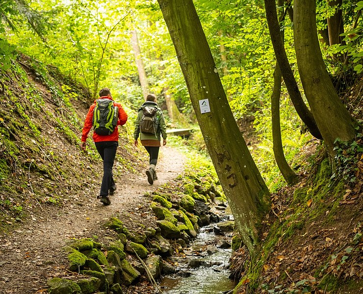 Waldwege der Maibachklamm