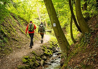 Waldwege der Maibachklamm