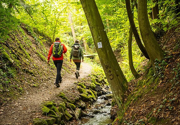 Waldwege der Maibachklamm