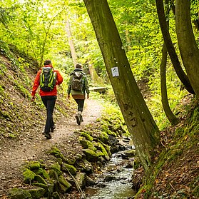 Waldwege der Maibachklamm
