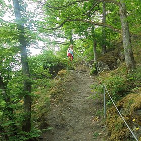 Jägerpfad AhrSteig