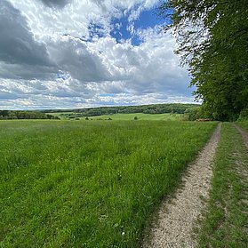 Blick ins Bandorfer Tal