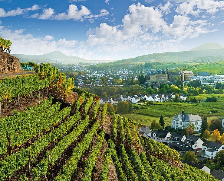 Calvarienberg, Kloster, Ahrtal, Ahrweiler