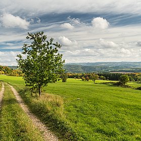 Aussicht von Aremberg