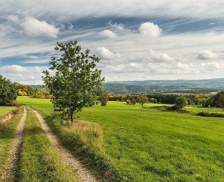 Aussicht von Aremberg