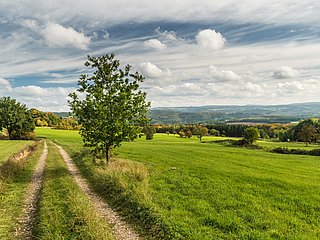 Aussicht von Aremberg