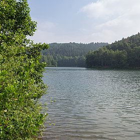 Freilinger See