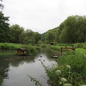 "Morswiesener Weiher" bei Hausten-Morswiesen