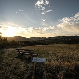 Aussicht Kirchwald