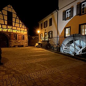 IMG_2236