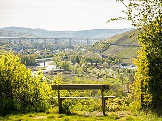 Aussicht von der Ehlinger Ley