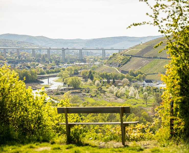 Aussicht von der Ehlinger Ley