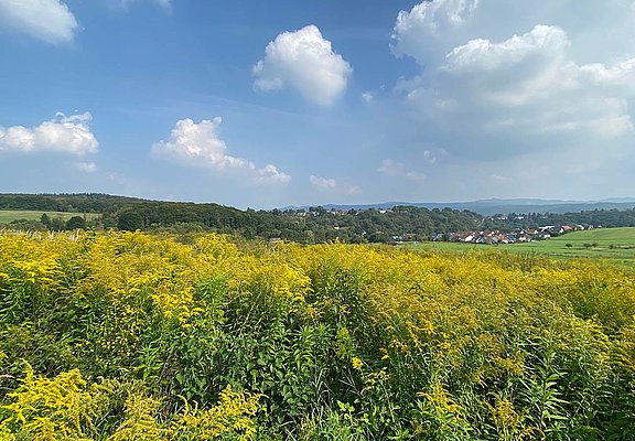 Rheinhöhe Oberwinter und Siebengebirge