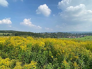 Rheinhöhe Oberwinter und Siebengebirge