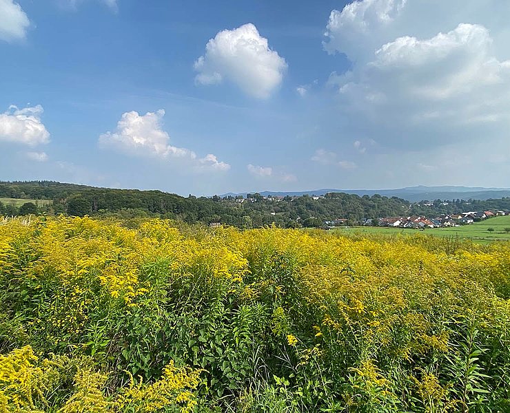 Rheinhöhe Oberwinter und Siebengebirge