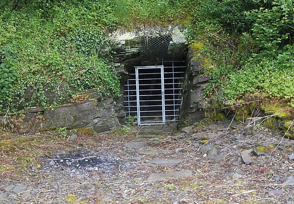 Fledermaushöhle Hönningen