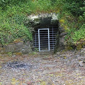 Fledermaushöhle Hönningen