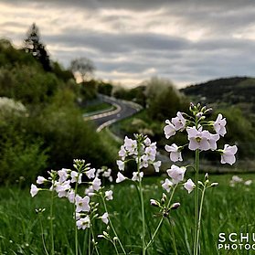 Nürburgring Nordschleife@sebastian_schulte
