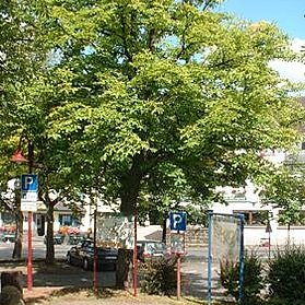 Der Kelberger Marktplatz