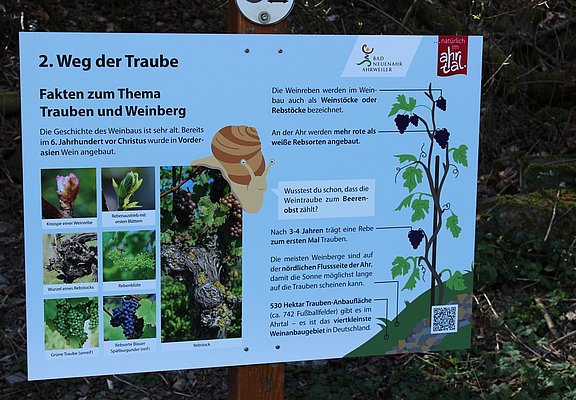 Lotta Erlebnispfad