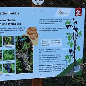 Lotta Erlebnispfad