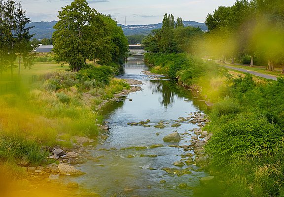 Ahr-Radweg im Sommer bei Sinzig