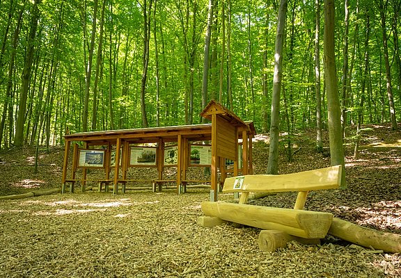Waldentdeckerpfad Bad Neuenahr-Ahrweiler