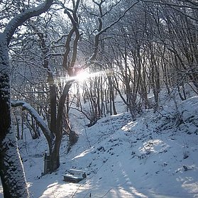 Im Winter immer wieder Schnee an der Landskrone