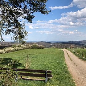Blick vom Hasenberg über das Ahrgebirge
