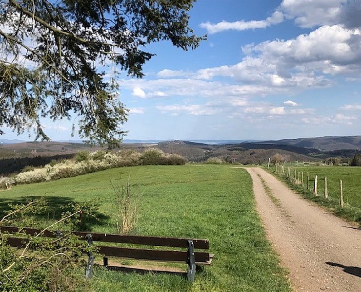 Blick vom Hasenberg über das Ahrgebirge