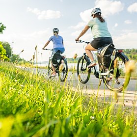 Rheinradweg bei Bad Breisig