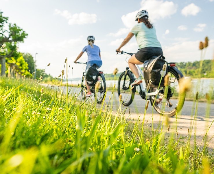 Rheinradweg bei Bad Breisig