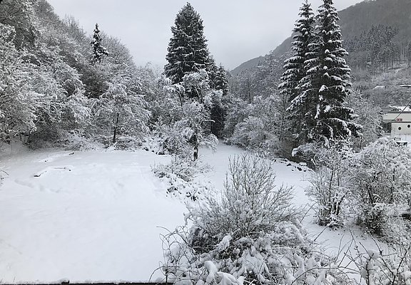 Grundstück neben dem Haus im Winter
