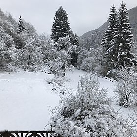 Grundstück neben dem Haus im Winter