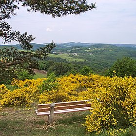 Unterwegs auf den Ahrhöhen