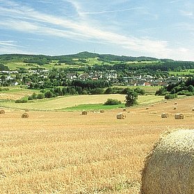 Vulkan-Rad-Route Eifel_Kelberg