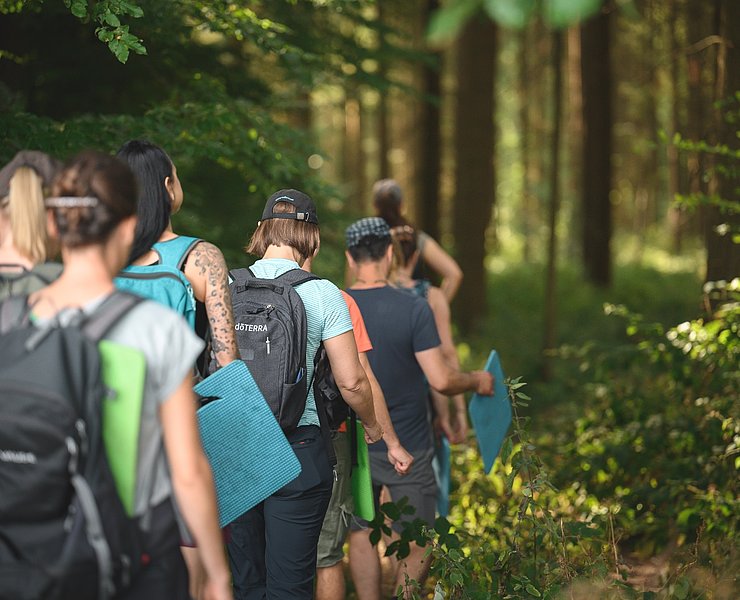 Wanderer der Wohllebens Waldakademie
