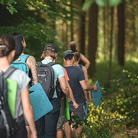 Wanderer der Wohllebens Waldakademie
