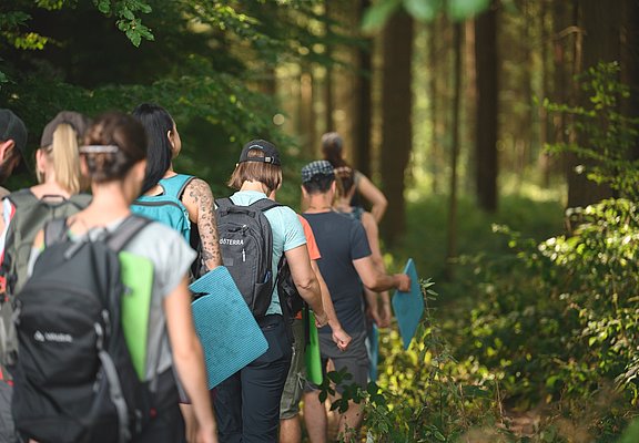 Wanderer der Wohllebens Waldakademie