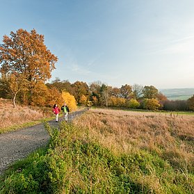 Auf dem Weg nach Aremberg