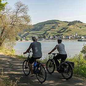 Blick auf Assmannshausen