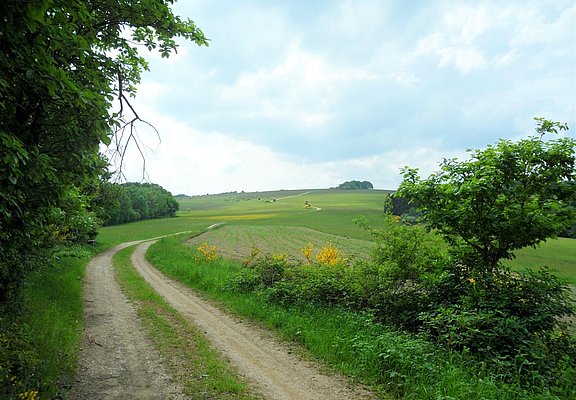 Unterwegs auf dem Rundwanderweg Nr. 5
