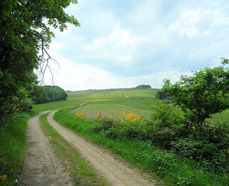 Unterwegs auf dem Rundwanderweg Nr. 5