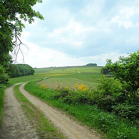 Unterwegs auf dem Rundwanderweg Nr. 5