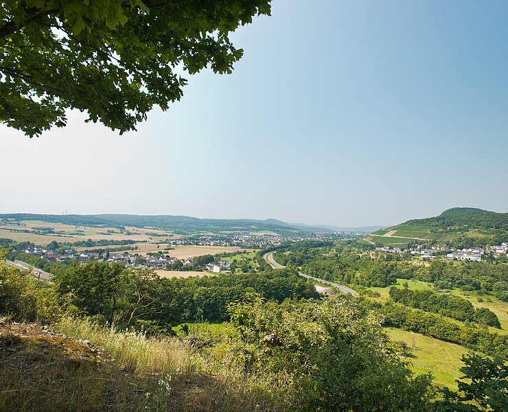 Ehlinger Ley, Ahrtal, Ehlingen, Ehlinger Köpfchen, AhrSteig
