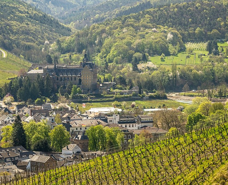 Kloster Kalvarienberg